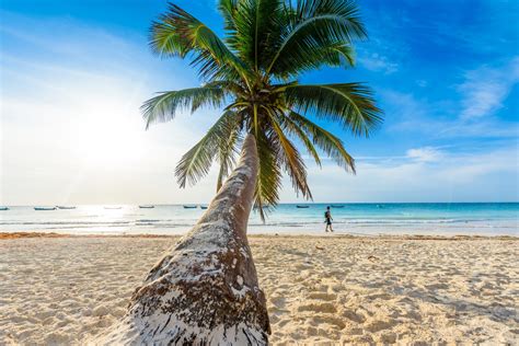 Playa Paraíso En Tulum Un Mundo De Posibilidades Rincones De México