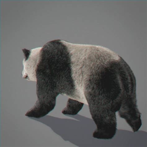 Animated Panda Bear Panda Bear Bear Panda