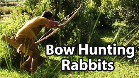 Rabbit Hunting With Primitive Bow And Arrow Youtube