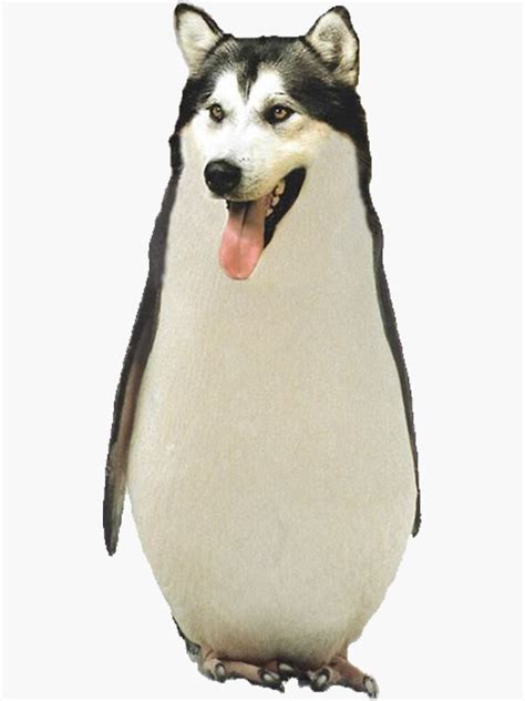 Husky Penguin Sticker By Fashionwardrobe Redbubble