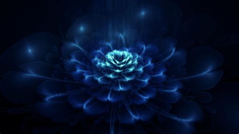 Free Download Dark Flower Wallpapers [1920x1080] For Your Desktop Mobile And Tablet Explore 74