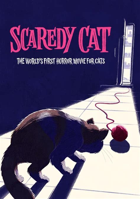 Image Gallery For Scaredy Cat S Filmaffinity