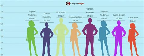 Compare Heights An Online Comparing Heights Tool