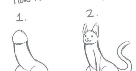 How To Draw A Penis Cat Imgur