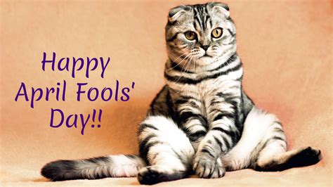 April Fools Day Images And Funny Jokes Download For Free Online Best