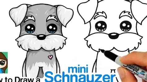 Learn How To Draw A Miniature Schnauzer Dog Easy Step By Step Art