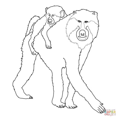 Baboon Coloring Pages - Kidsuki