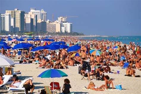 Miami The Keys Miami Image Gallery Lonely Planet
