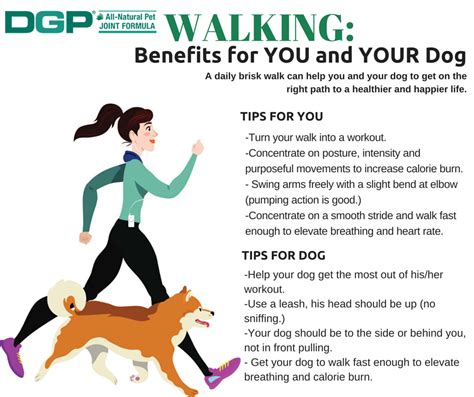 Walking Benefits For You And Your Dog Dgp For Pets