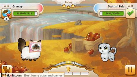 20 Best Cat Apps And Games For Cat Lovers Ilols