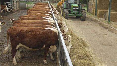 Outlook 2016 Profitable Beef Production A Challenge Farmers Weekly