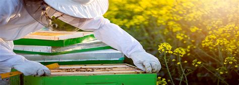 Beekeeping Classes Rutgers Njaes Office Of Continuing Professional Education