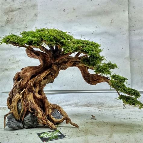 Posted on 19th april 20114th august 2015 by tgm support the term iwagumi was originally used to refer to a japanese gardening style in which stones were. Jual bonsai aquascape LM02 - Kota Depok - aquanatureart ...