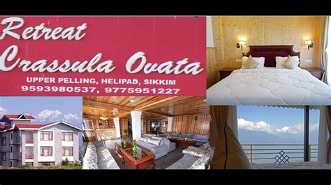 Ep3 Part 2 Hotel Retreat Crassula Ovata Upper Pelling Pelling Hotels