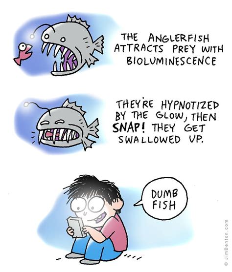 The Anglerfish Angler Fish Procrastination Humor Edgy Memes
