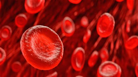 How To Boost Your Blood Platelets Naturally