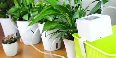 Best Automatic Watering System For Indoor Plants Nerd Techy