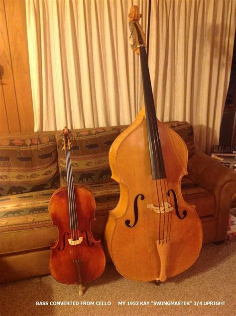 Electric Double Bass