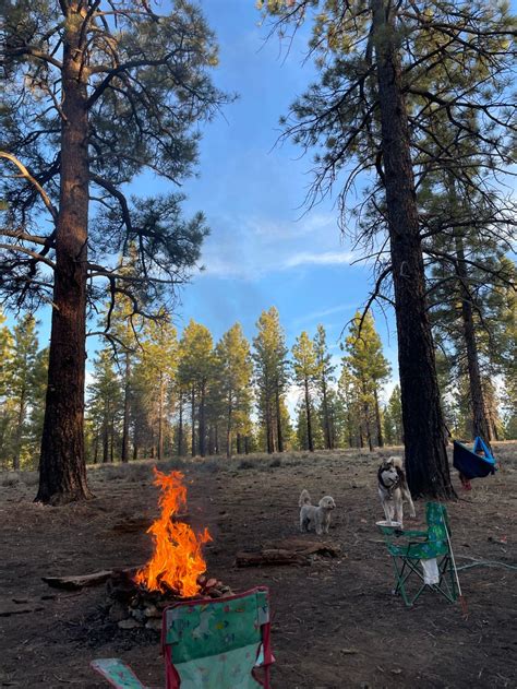 Dispersed Camping In Dixie National Forest The Dyrt