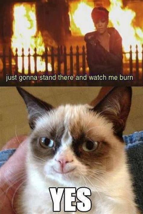 Angry Cat Funny Grumpy Cat Memes Grumpy Cat Humor Angry Cat Memes