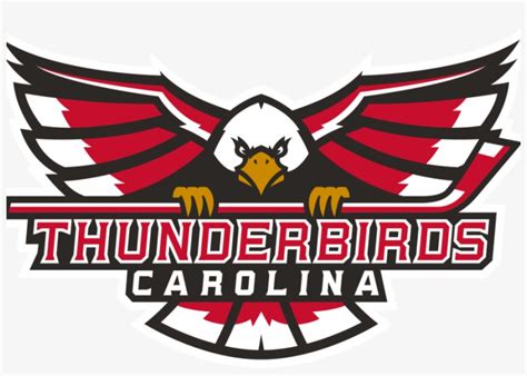 Logo900xx2030 1353 68 0 Winston Salem Thunderbirds Hockey Team Png