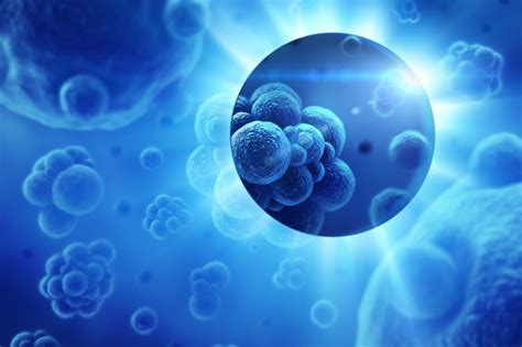 Burden, volume, mass and 2. Oncology Information System Market - Deep Research ...