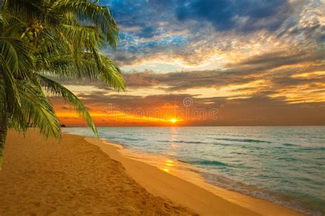 Stunning Tropical Beach At Sunrise Stock Photo Image Of Resort Palm
