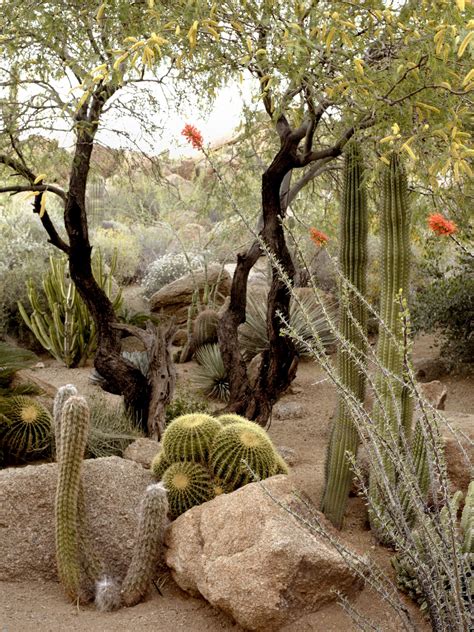 10 Ideas To Steal From Desert Gardens Gardenista Desert Backyard
