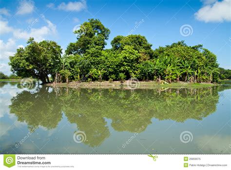 Tropical Rainforest Landscape With Island Stock Image