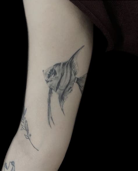 Angelfish Tattoo Simple Angelfish Tattoo Small Angelfish Tattoo