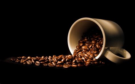 Coffee Full Hd Wallpaper And Background Image 1920x1200 Id422958