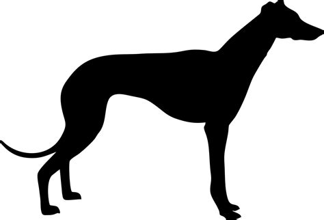 Greyhound Dog Breed Silhouette Custom Vinyl Decal Sticker For Cars And