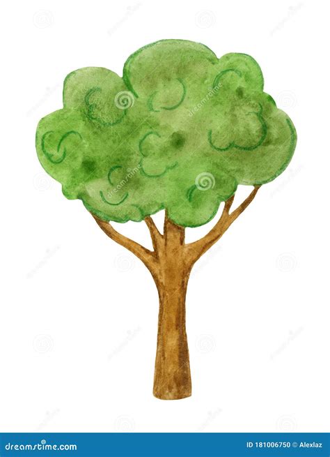 Color De Agua Verde De árbol De Dibujos Animados Sobre Un Fondo Blanco