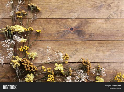 Dried Flowers On Rustic Wooden Image And Photo Bigstock