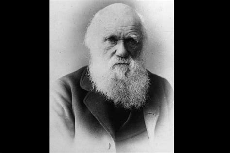 25 Evolutionary Facts About Charles Darwin