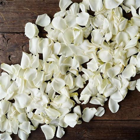 Buy Wholesale White Rose Petals In Bulk Fiftyflowers