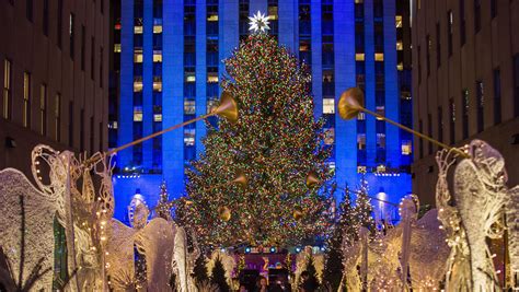 Rockefeller Christmas Trees Support New Homes