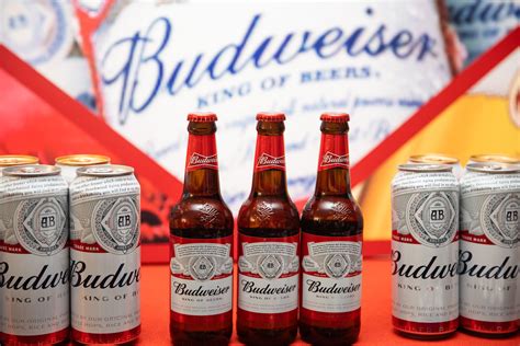 Budweiser Global King Of Beers Price In Rajasthan