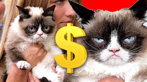 Grumpy Cat Has Made Over 100 Million Dollars Youtube