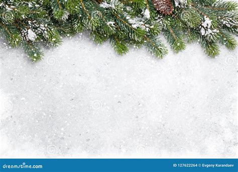 Christmas Fir Tree Branch Covered By Snow Card Stock Photo Image Of
