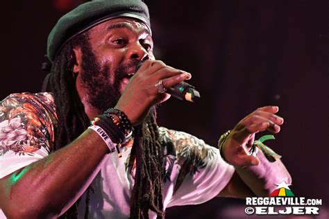 Photos Reggae Jam 2018