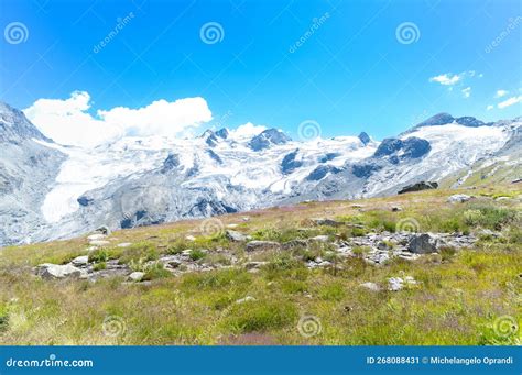 Landscape With Green Meadows And Snow Capped Peaks Stock Image Image