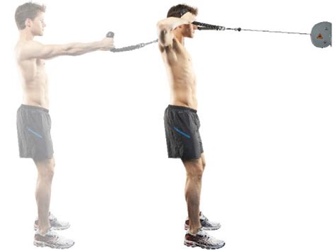 We did not find results for: 15-minute balanced torso workout - Men's Health