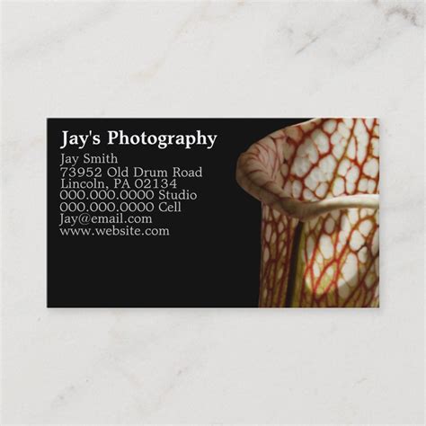 Unique Photography Business Cards Zazzle