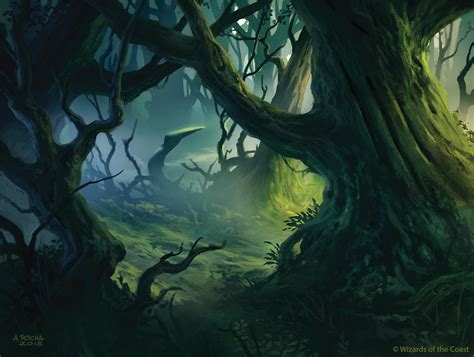 Mtg Shadows Over Innistrad Basic Land Forest By Andreasrocha On