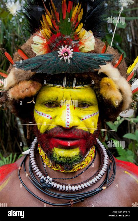 A Huli Wigmen Of Papua New Guinea With His Headdress Made Of Hair And