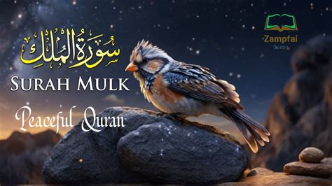 Best Voice With Love Peaceful Recitation Quran Surah Al Mulk Zampfai Quran Youtube