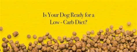 What every pet owner needs to know. Low-Carb Dog Food | Darwin's Natural Pet Products | Darwin ...