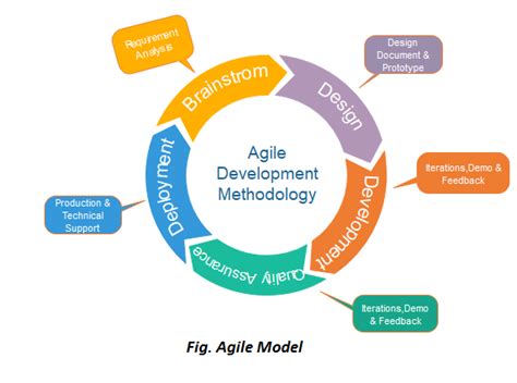 Agile Model Software Engineering Javatpoint