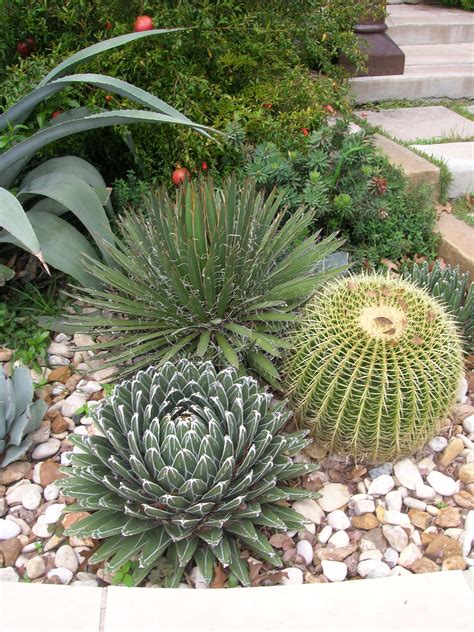 Landscaping Pictures Of Texas Xeriscape Gardens And Much